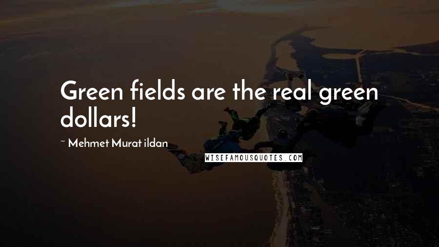 Mehmet Murat Ildan Quotes: Green fields are the real green dollars!