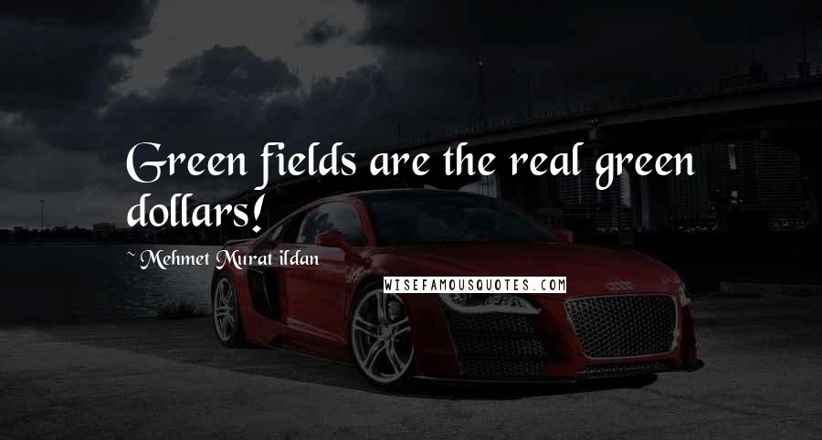 Mehmet Murat Ildan Quotes: Green fields are the real green dollars!