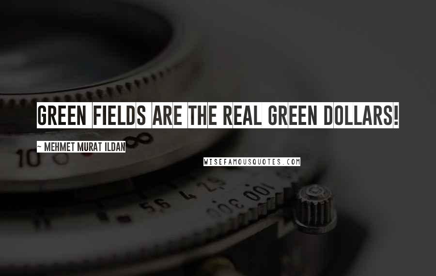 Mehmet Murat Ildan Quotes: Green fields are the real green dollars!