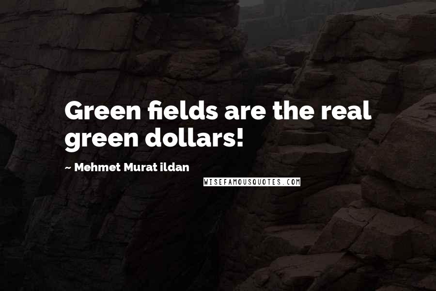 Mehmet Murat Ildan Quotes: Green fields are the real green dollars!