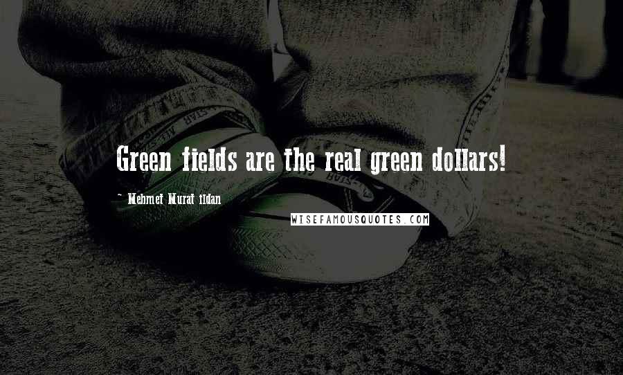Mehmet Murat Ildan Quotes: Green fields are the real green dollars!