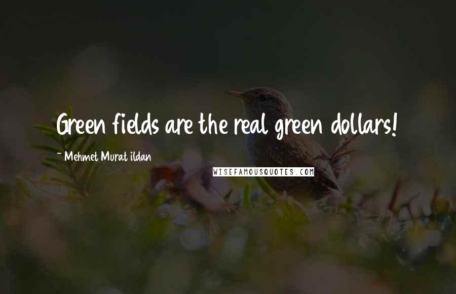 Mehmet Murat Ildan Quotes: Green fields are the real green dollars!