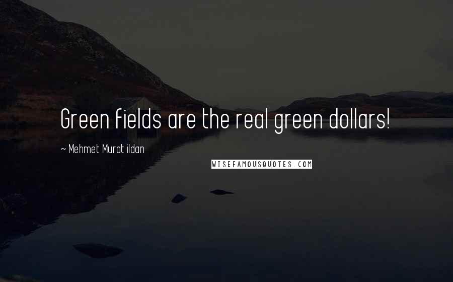 Mehmet Murat Ildan Quotes: Green fields are the real green dollars!