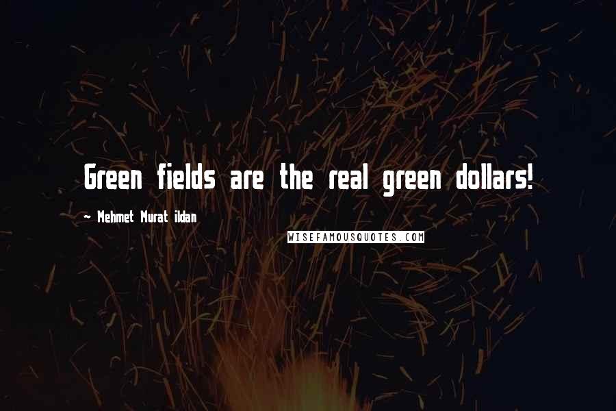 Mehmet Murat Ildan Quotes: Green fields are the real green dollars!