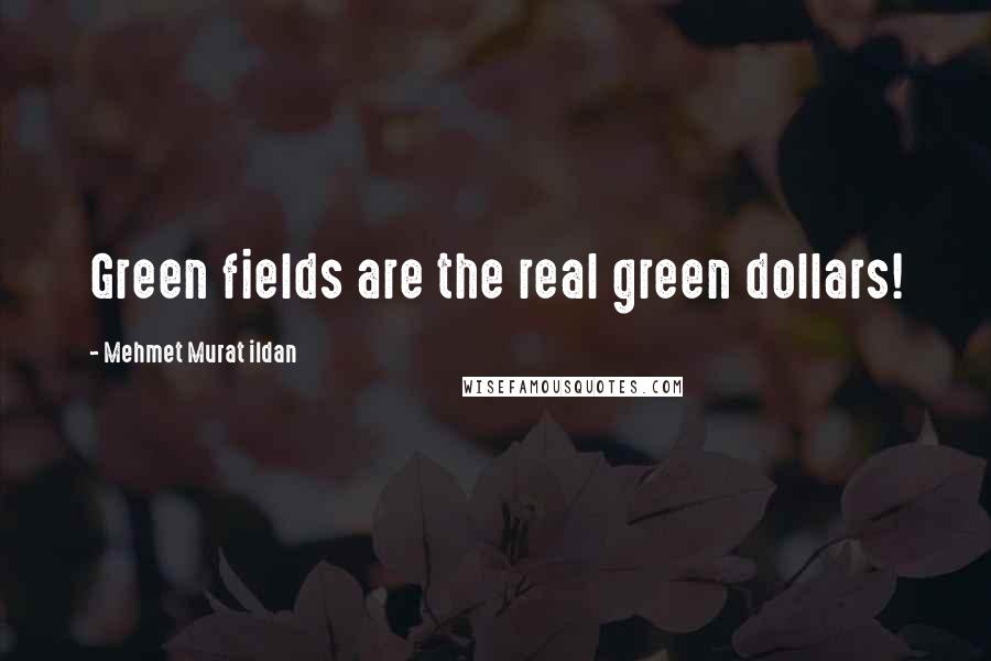 Mehmet Murat Ildan Quotes: Green fields are the real green dollars!
