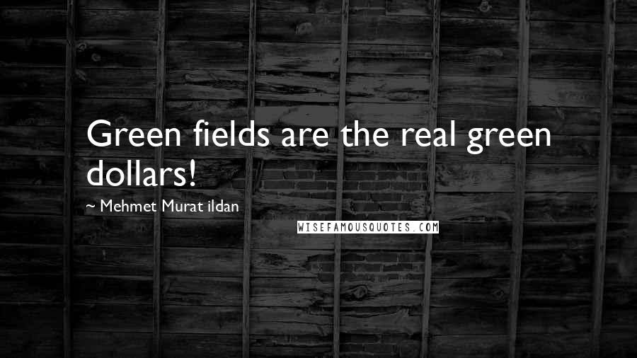 Mehmet Murat Ildan Quotes: Green fields are the real green dollars!