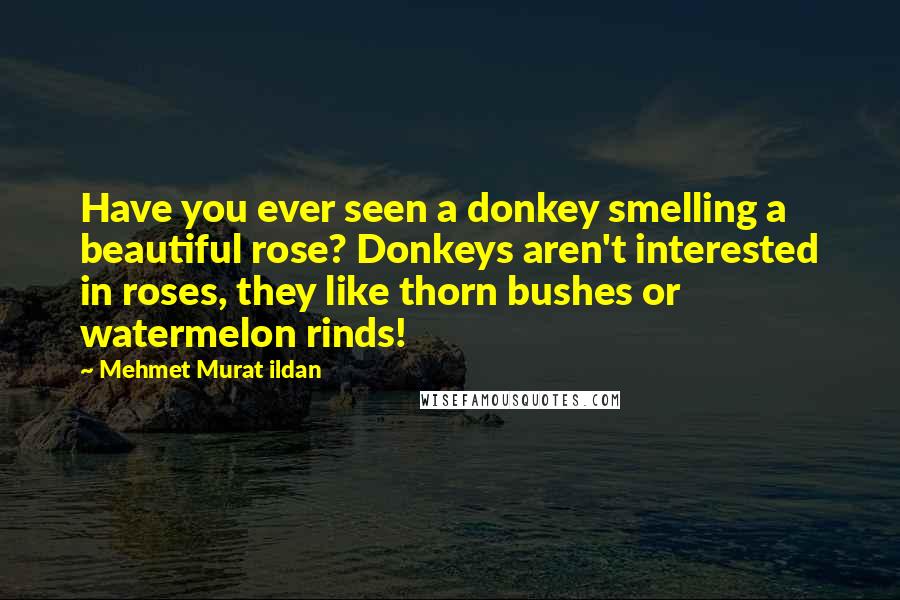 Mehmet Murat Ildan Quotes: Have you ever seen a donkey smelling a beautiful rose? Donkeys aren't interested in roses, they like thorn bushes or watermelon rinds!