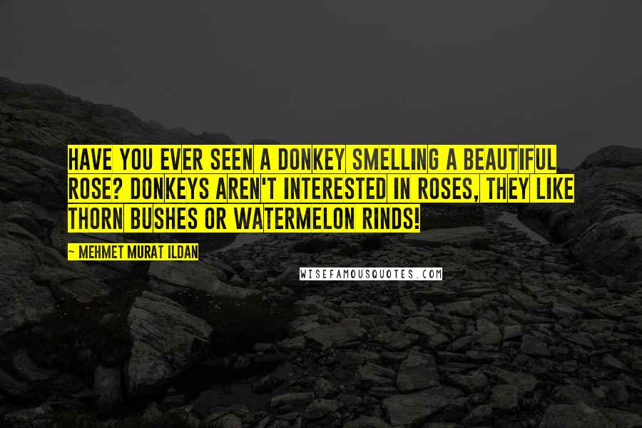 Mehmet Murat Ildan Quotes: Have you ever seen a donkey smelling a beautiful rose? Donkeys aren't interested in roses, they like thorn bushes or watermelon rinds!