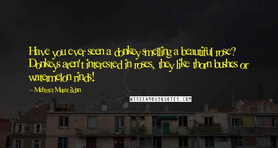 Mehmet Murat Ildan Quotes: Have you ever seen a donkey smelling a beautiful rose? Donkeys aren't interested in roses, they like thorn bushes or watermelon rinds!