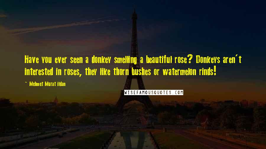Mehmet Murat Ildan Quotes: Have you ever seen a donkey smelling a beautiful rose? Donkeys aren't interested in roses, they like thorn bushes or watermelon rinds!