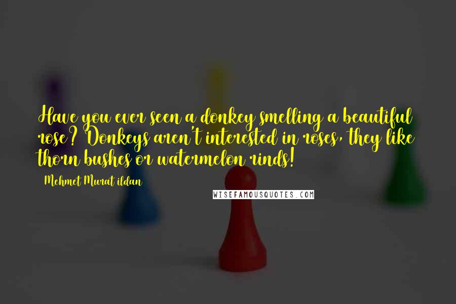 Mehmet Murat Ildan Quotes: Have you ever seen a donkey smelling a beautiful rose? Donkeys aren't interested in roses, they like thorn bushes or watermelon rinds!