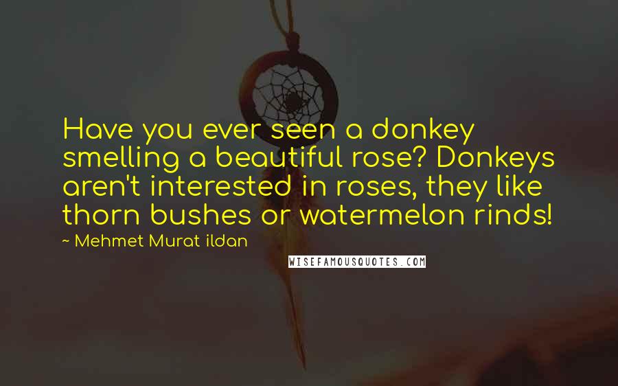 Mehmet Murat Ildan Quotes: Have you ever seen a donkey smelling a beautiful rose? Donkeys aren't interested in roses, they like thorn bushes or watermelon rinds!