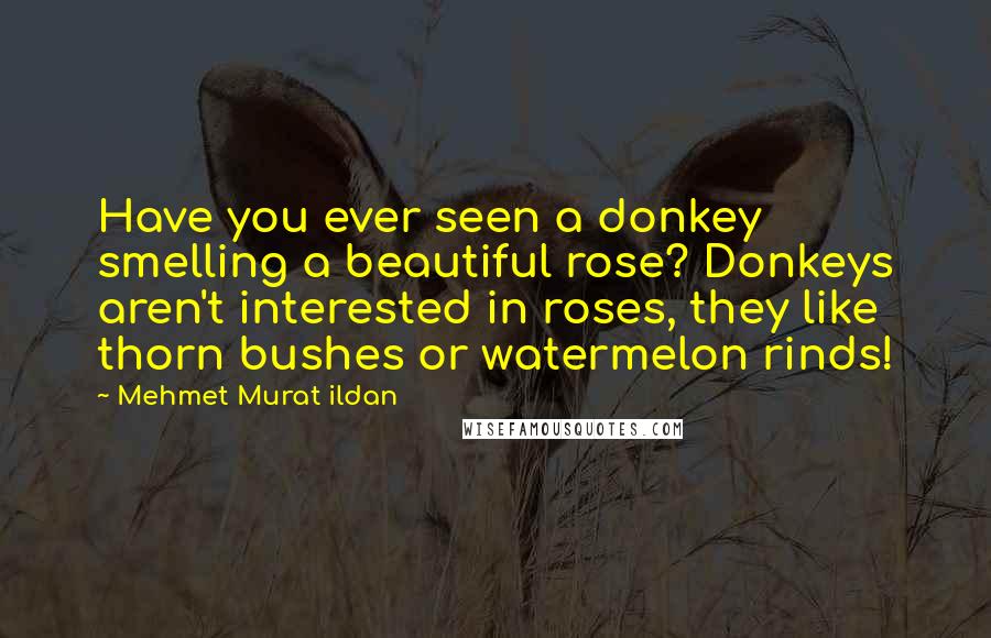 Mehmet Murat Ildan Quotes: Have you ever seen a donkey smelling a beautiful rose? Donkeys aren't interested in roses, they like thorn bushes or watermelon rinds!