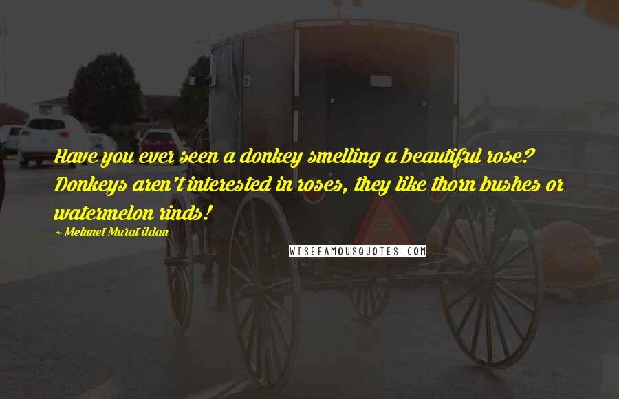 Mehmet Murat Ildan Quotes: Have you ever seen a donkey smelling a beautiful rose? Donkeys aren't interested in roses, they like thorn bushes or watermelon rinds!