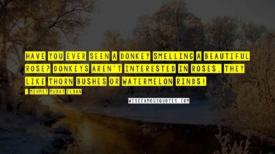 Mehmet Murat Ildan Quotes: Have you ever seen a donkey smelling a beautiful rose? Donkeys aren't interested in roses, they like thorn bushes or watermelon rinds!
