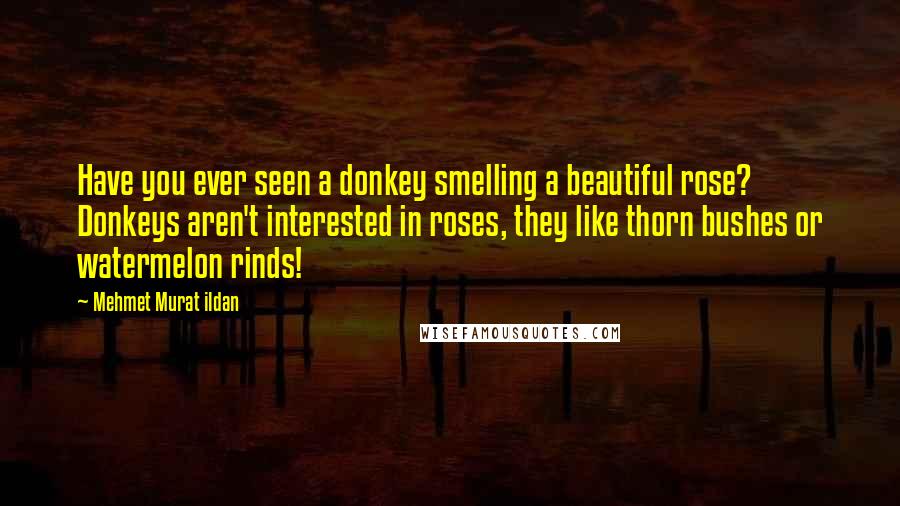 Mehmet Murat Ildan Quotes: Have you ever seen a donkey smelling a beautiful rose? Donkeys aren't interested in roses, they like thorn bushes or watermelon rinds!
