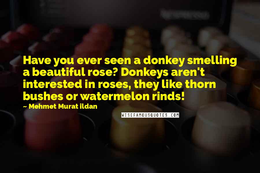 Mehmet Murat Ildan Quotes: Have you ever seen a donkey smelling a beautiful rose? Donkeys aren't interested in roses, they like thorn bushes or watermelon rinds!