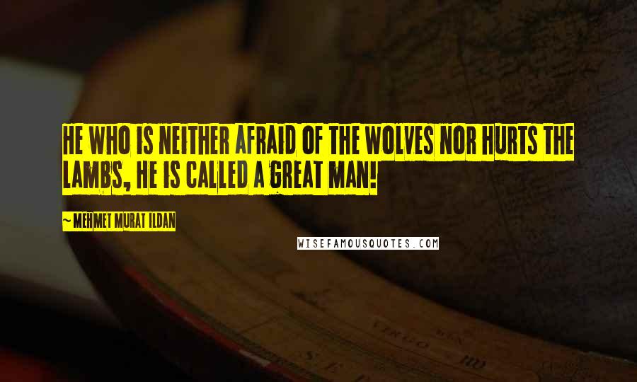 Mehmet Murat Ildan Quotes: He who is neither afraid of the wolves nor hurts the lambs, He is called a great man!