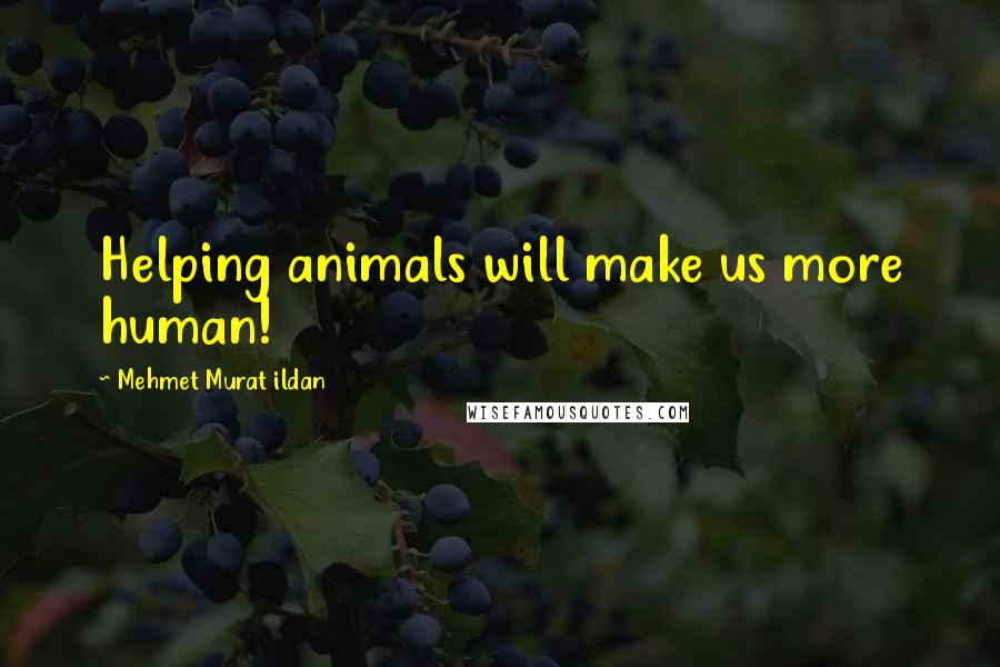 Mehmet Murat Ildan Quotes: Helping animals will make us more human!