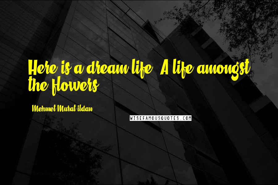 Mehmet Murat Ildan Quotes: Here is a dream-life: A life amongst the flowers!