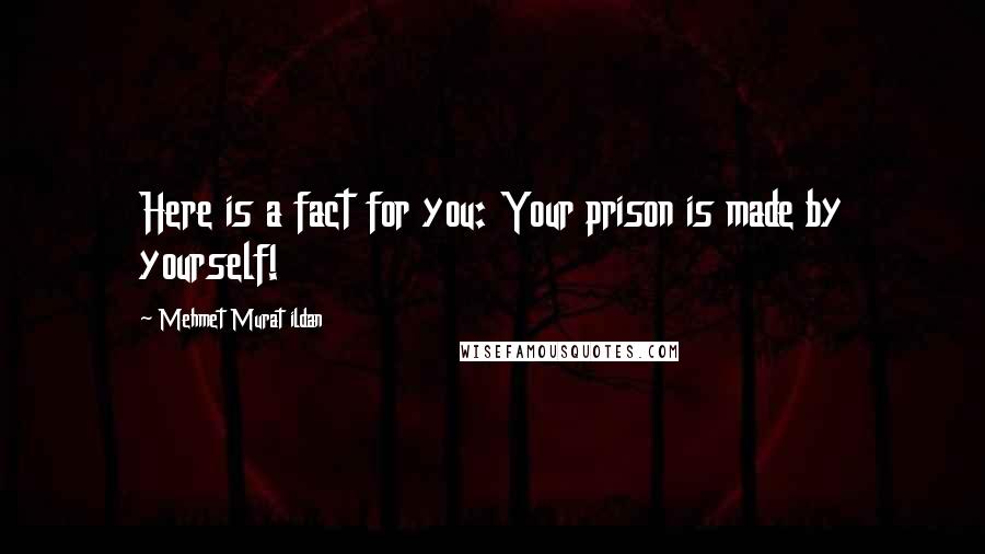Mehmet Murat Ildan Quotes: Here is a fact for you: Your prison is made by yourself!