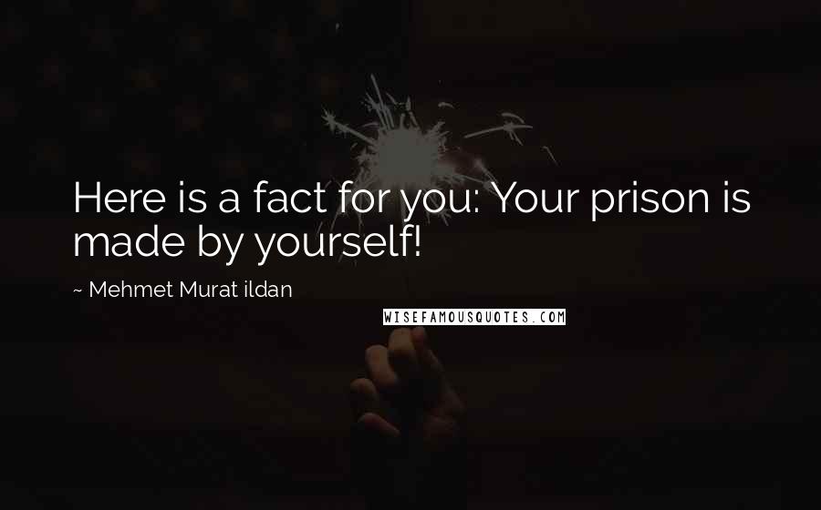 Mehmet Murat Ildan Quotes: Here is a fact for you: Your prison is made by yourself!