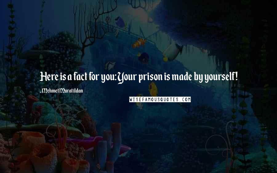 Mehmet Murat Ildan Quotes: Here is a fact for you: Your prison is made by yourself!