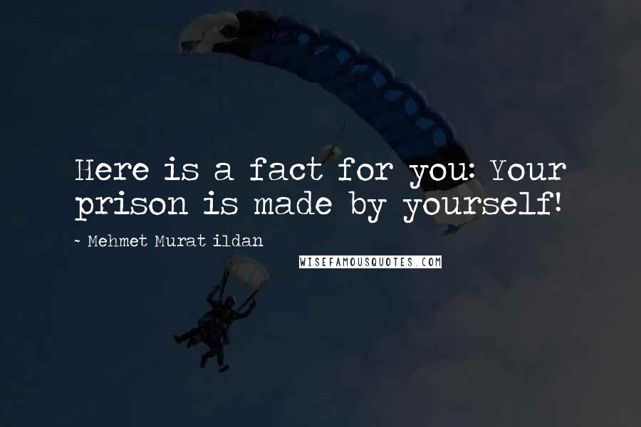 Mehmet Murat Ildan Quotes: Here is a fact for you: Your prison is made by yourself!