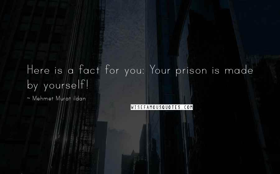 Mehmet Murat Ildan Quotes: Here is a fact for you: Your prison is made by yourself!