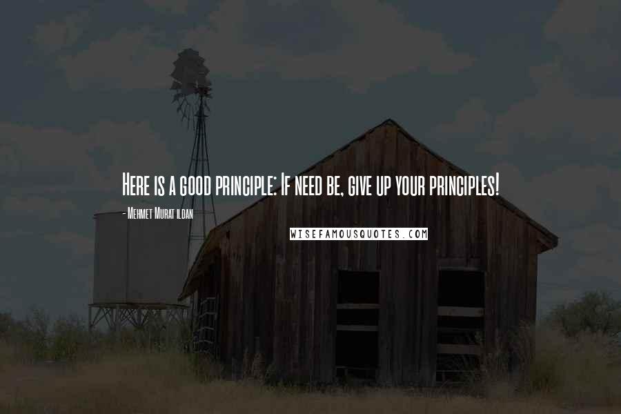 Mehmet Murat Ildan Quotes: Here is a good principle: If need be, give up your principles!