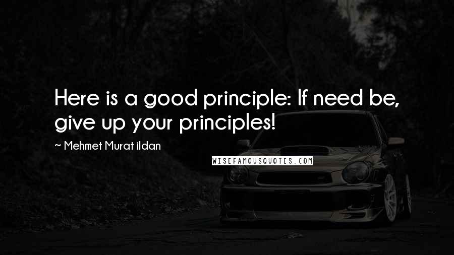 Mehmet Murat Ildan Quotes: Here is a good principle: If need be, give up your principles!