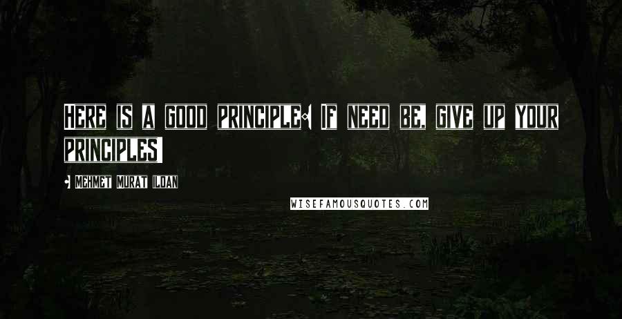 Mehmet Murat Ildan Quotes: Here is a good principle: If need be, give up your principles!