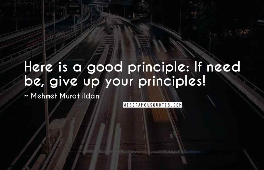 Mehmet Murat Ildan Quotes: Here is a good principle: If need be, give up your principles!