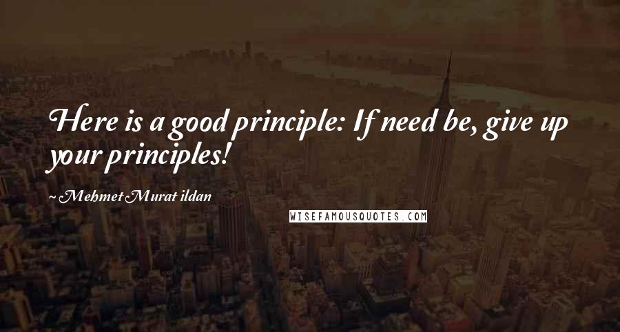 Mehmet Murat Ildan Quotes: Here is a good principle: If need be, give up your principles!