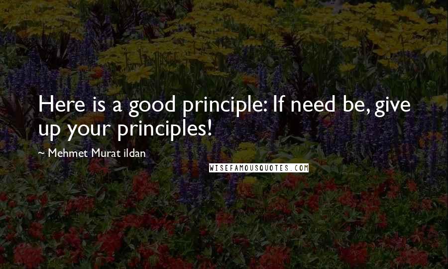 Mehmet Murat Ildan Quotes: Here is a good principle: If need be, give up your principles!