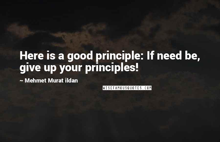 Mehmet Murat Ildan Quotes: Here is a good principle: If need be, give up your principles!