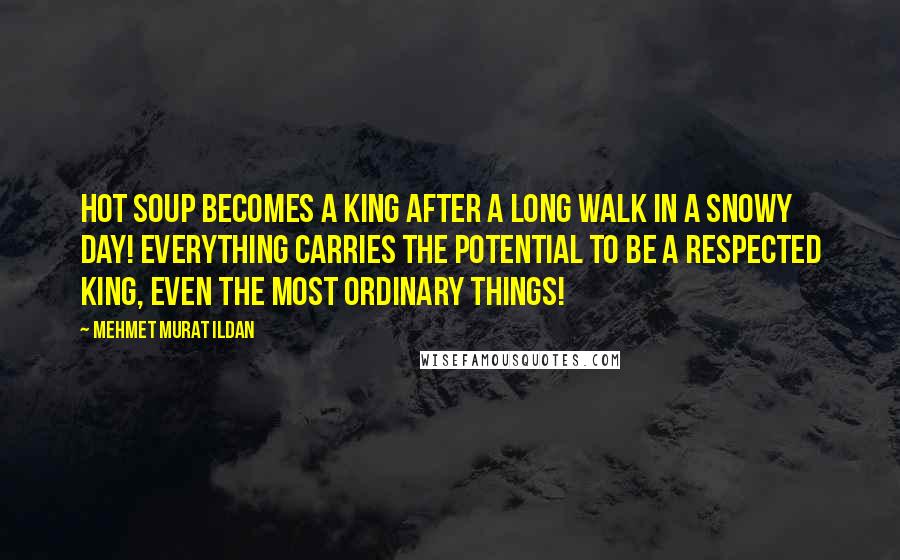 Mehmet Murat Ildan Quotes: Hot soup becomes a king after a long walk in a snowy day! Everything carries the potential to be a respected king, even the most ordinary things!