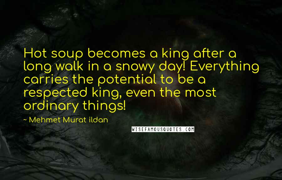 Mehmet Murat Ildan Quotes: Hot soup becomes a king after a long walk in a snowy day! Everything carries the potential to be a respected king, even the most ordinary things!