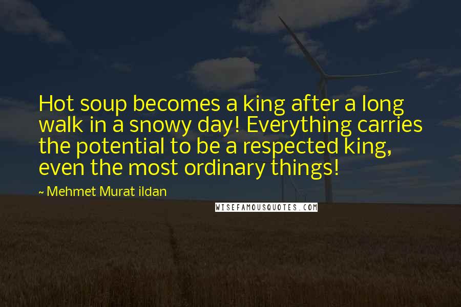 Mehmet Murat Ildan Quotes: Hot soup becomes a king after a long walk in a snowy day! Everything carries the potential to be a respected king, even the most ordinary things!