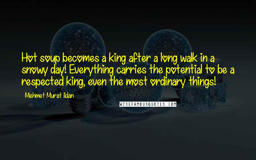 Mehmet Murat Ildan Quotes: Hot soup becomes a king after a long walk in a snowy day! Everything carries the potential to be a respected king, even the most ordinary things!