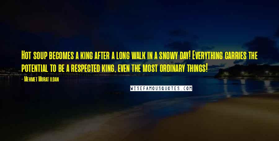 Mehmet Murat Ildan Quotes: Hot soup becomes a king after a long walk in a snowy day! Everything carries the potential to be a respected king, even the most ordinary things!