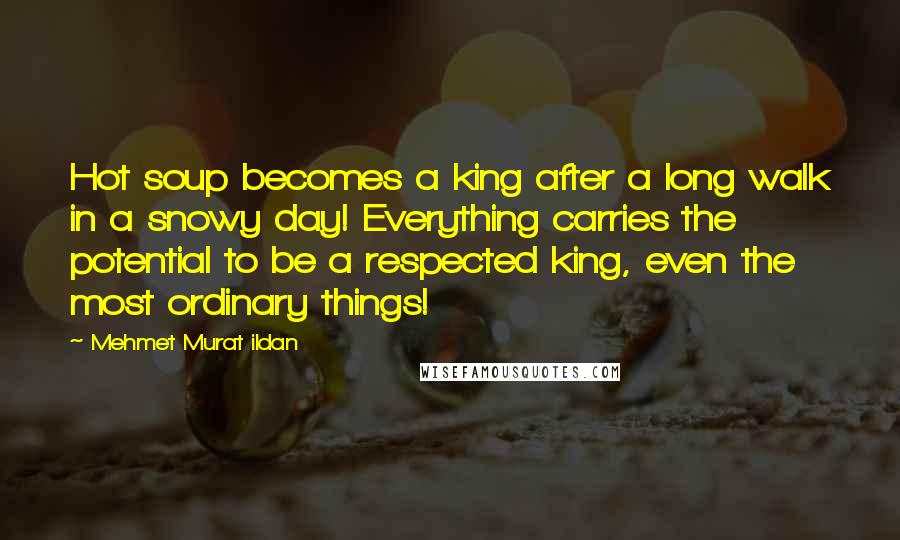 Mehmet Murat Ildan Quotes: Hot soup becomes a king after a long walk in a snowy day! Everything carries the potential to be a respected king, even the most ordinary things!