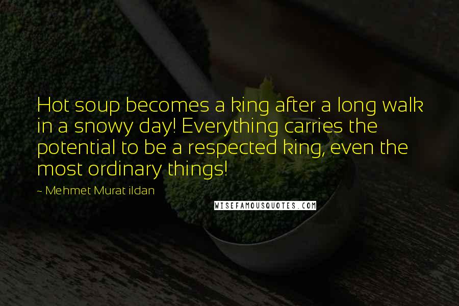 Mehmet Murat Ildan Quotes: Hot soup becomes a king after a long walk in a snowy day! Everything carries the potential to be a respected king, even the most ordinary things!