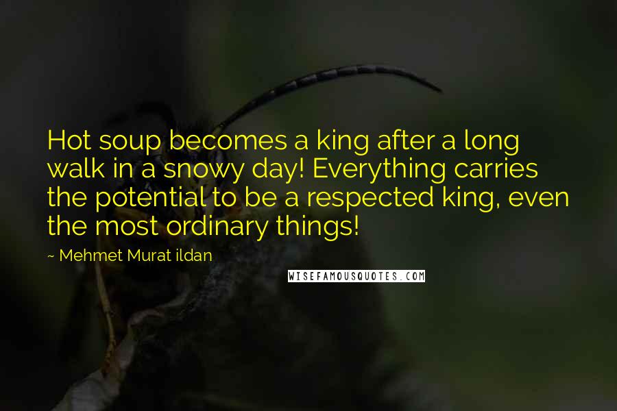 Mehmet Murat Ildan Quotes: Hot soup becomes a king after a long walk in a snowy day! Everything carries the potential to be a respected king, even the most ordinary things!
