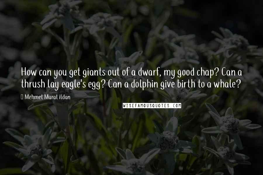 Mehmet Murat Ildan Quotes: How can you get giants out of a dwarf, my good chap? Can a thrush lay eagle's egg? Can a dolphin give birth to a whale?