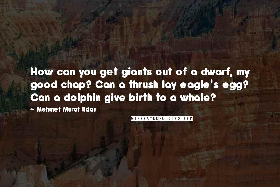Mehmet Murat Ildan Quotes: How can you get giants out of a dwarf, my good chap? Can a thrush lay eagle's egg? Can a dolphin give birth to a whale?