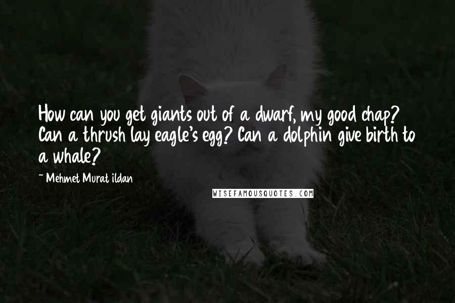 Mehmet Murat Ildan Quotes: How can you get giants out of a dwarf, my good chap? Can a thrush lay eagle's egg? Can a dolphin give birth to a whale?