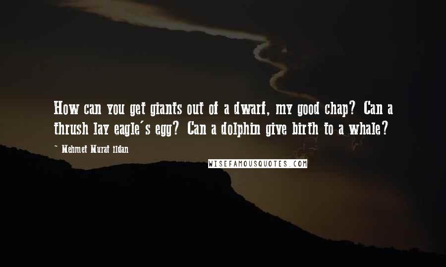 Mehmet Murat Ildan Quotes: How can you get giants out of a dwarf, my good chap? Can a thrush lay eagle's egg? Can a dolphin give birth to a whale?