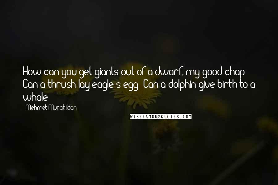 Mehmet Murat Ildan Quotes: How can you get giants out of a dwarf, my good chap? Can a thrush lay eagle's egg? Can a dolphin give birth to a whale?