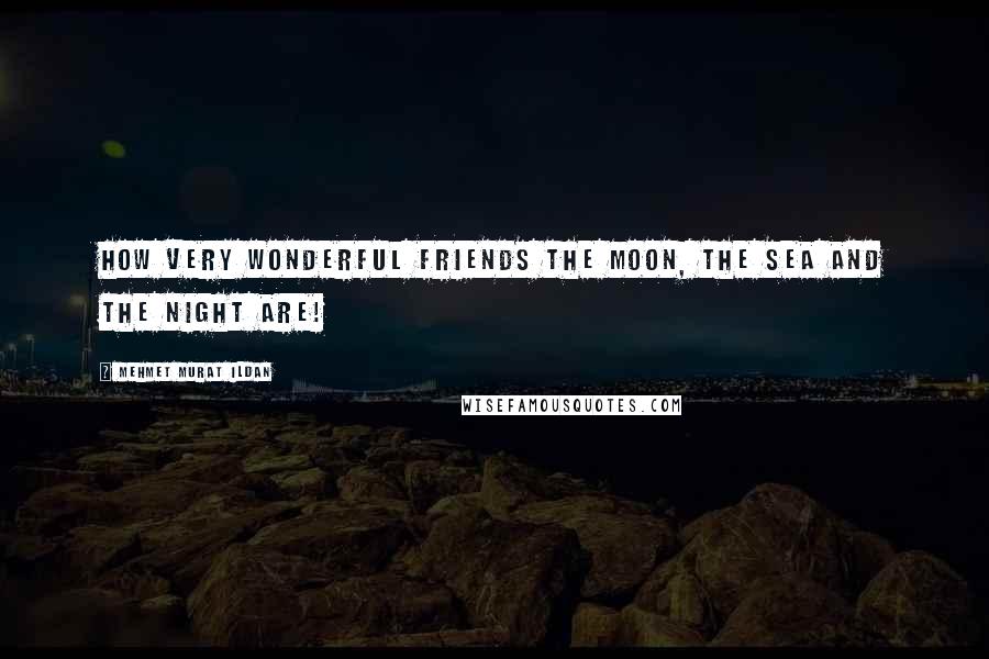 Mehmet Murat Ildan Quotes: How very wonderful friends the moon, the sea and the night are!